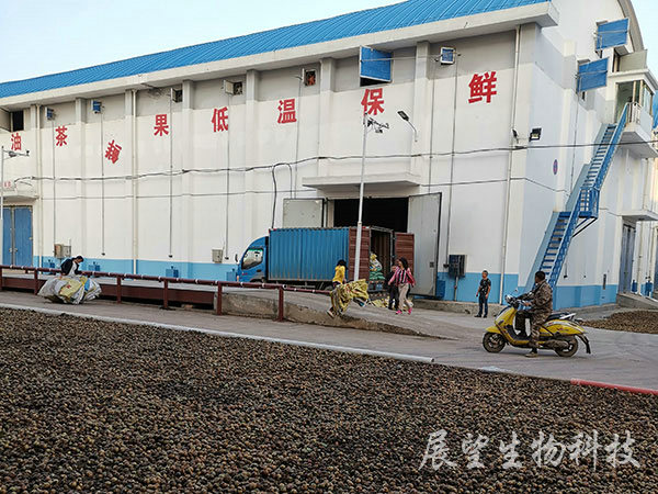 �Ͳ��ʹ��չ�