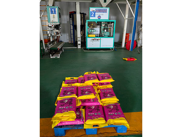 Ѽ����˿��