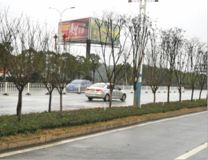 ũ����Ʒ�ӹ�,��ʳ�չ�,���ϵ���ֲ,����ʡk8��������Ƽ���չ���޹�˾